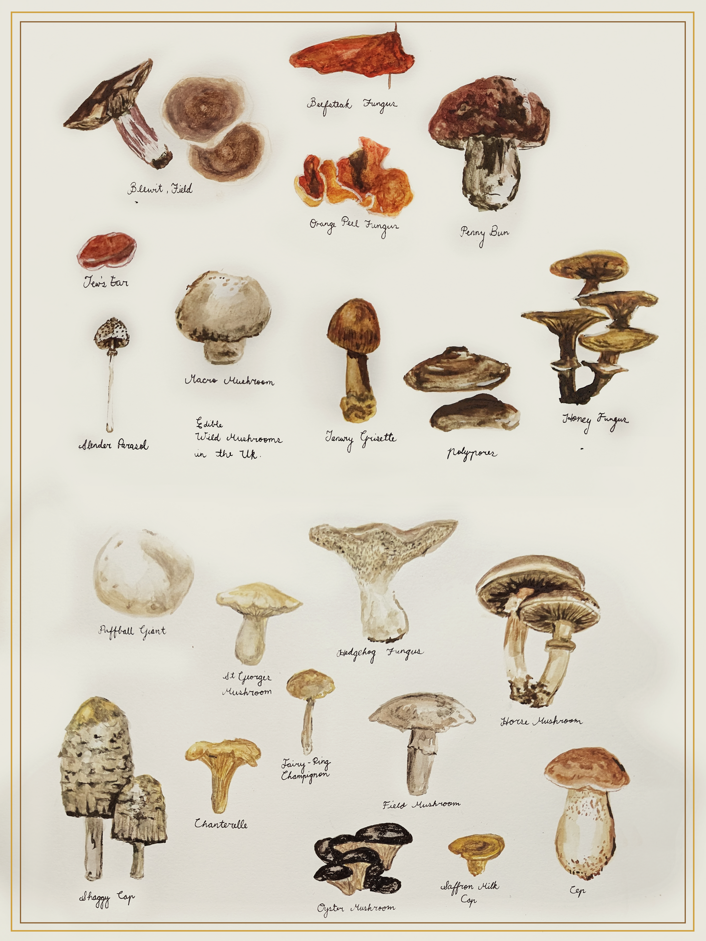 UK Wild Edible Mushrooms - Watercolour Print