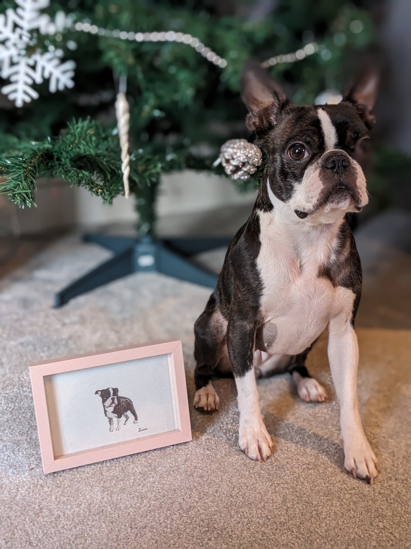 Custom Pet Portrait!